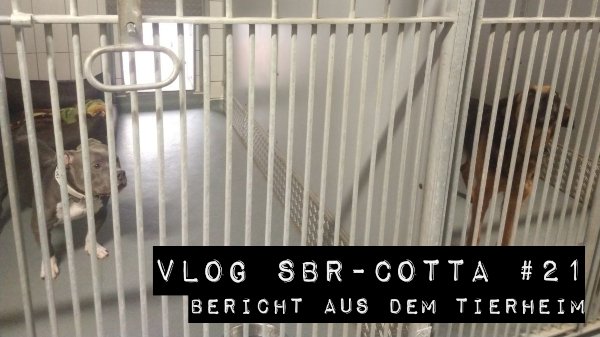 Thumbnail_600
